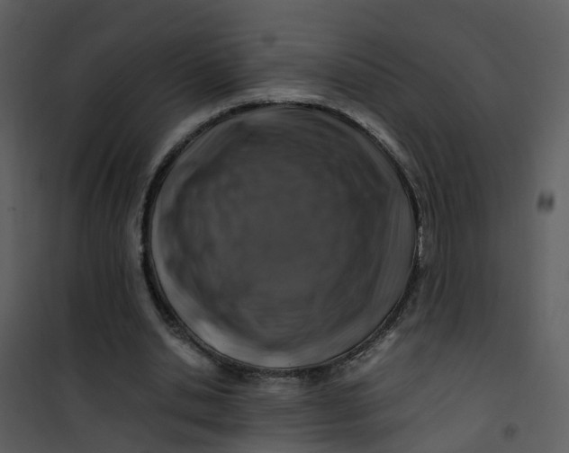 X0000101170438200807181427