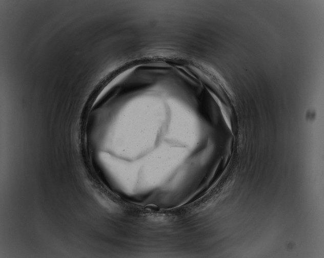 X0000101170439200807181427