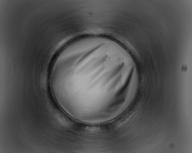X0000101170440200807181427