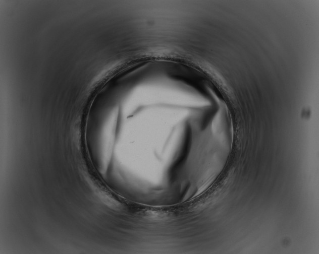 X0000101170442200807181427