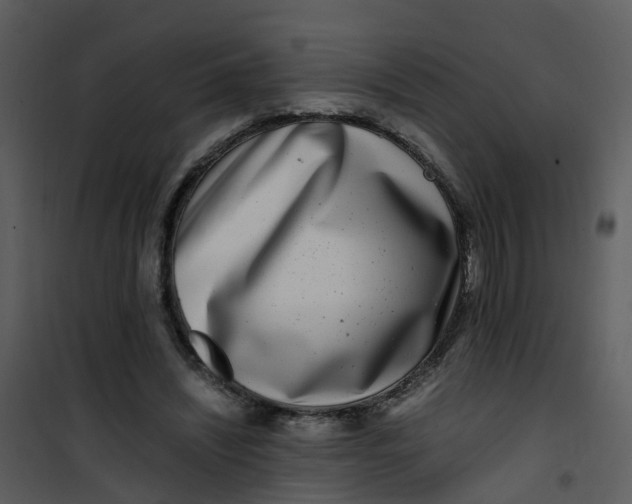 X0000101170444200807181427