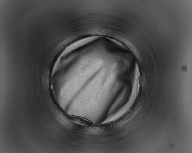 X0000101170445200807181427