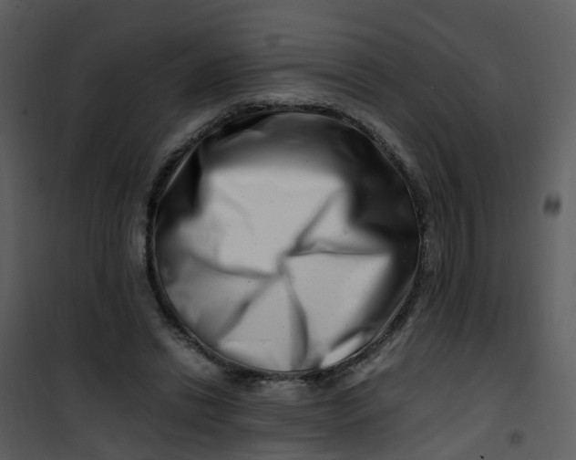 X0000101170446200807181427