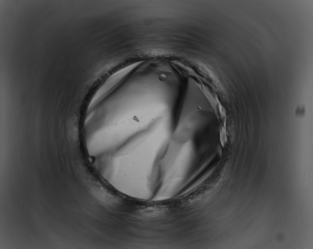 X0000101170447200807181427