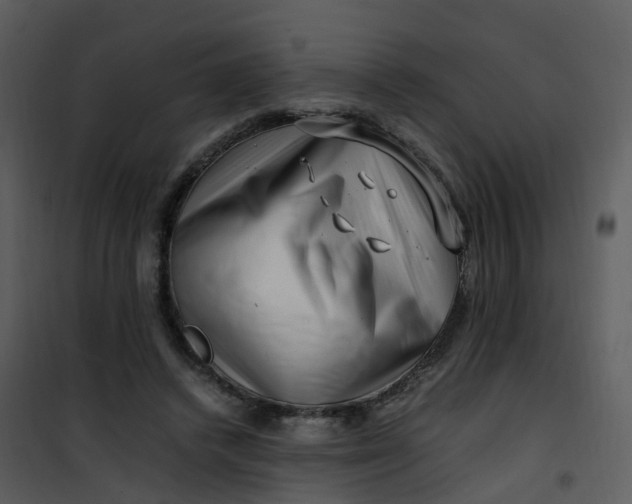 X0000101170448200807181427