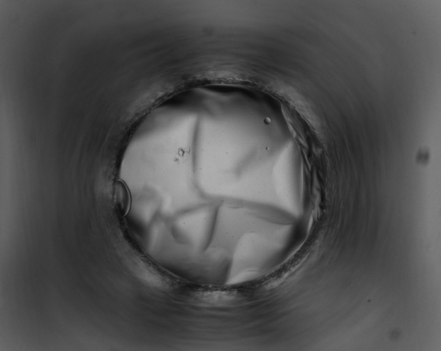 X0000101170449200807181427