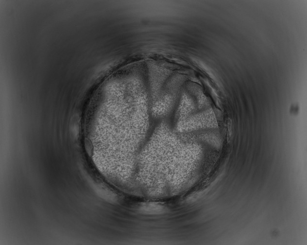 X0000101170451200807181427