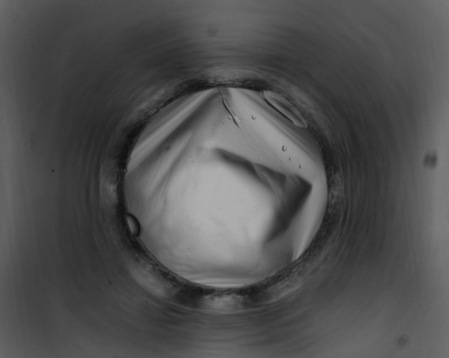 X0000101170452200807181427