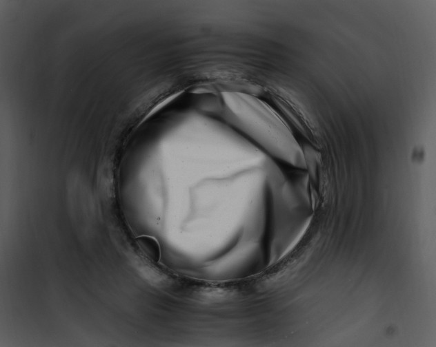 X0000101170453200807181427
