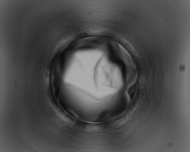 X0000101170454200807181427