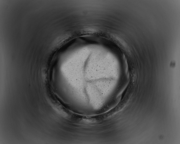 X0000101170455200807181427