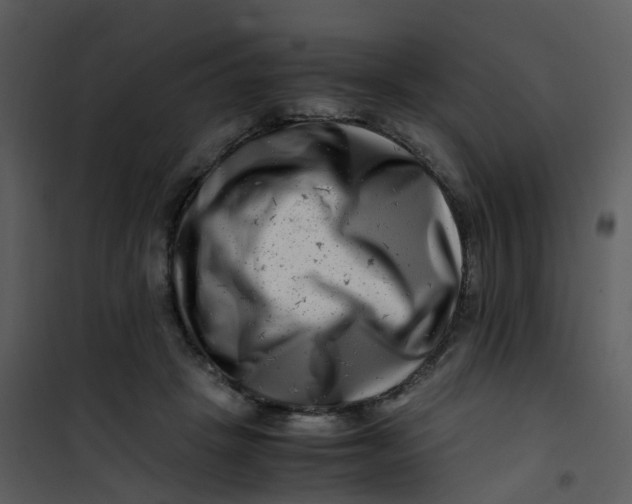 X0000101170457200807181427