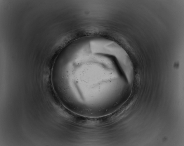 X0000101170458200807181427