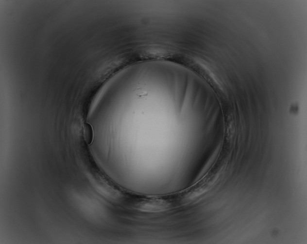 X0000101170459200807181427