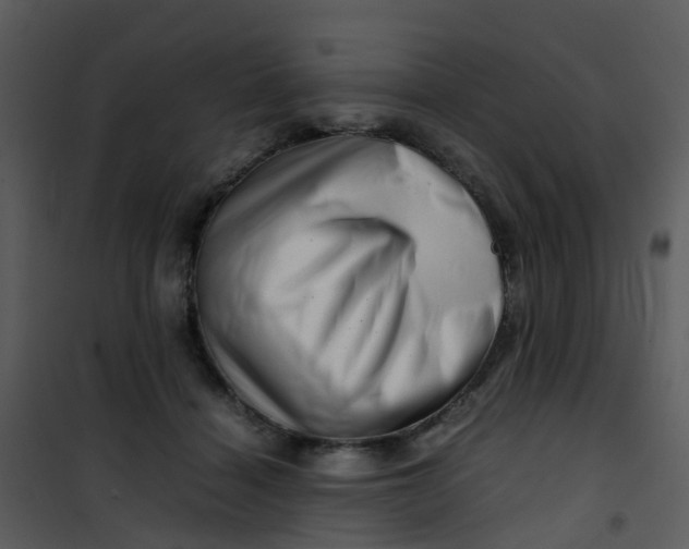 X0000101170460200807181427