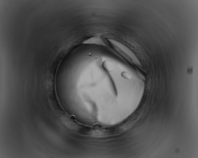 X0000101170461200807181427