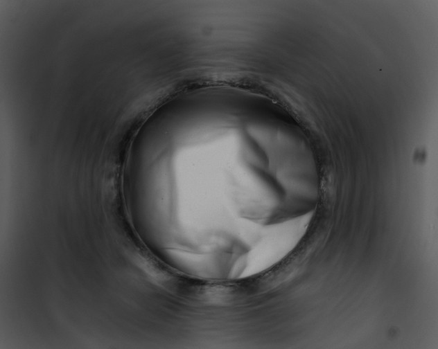 X0000101170462200807181427