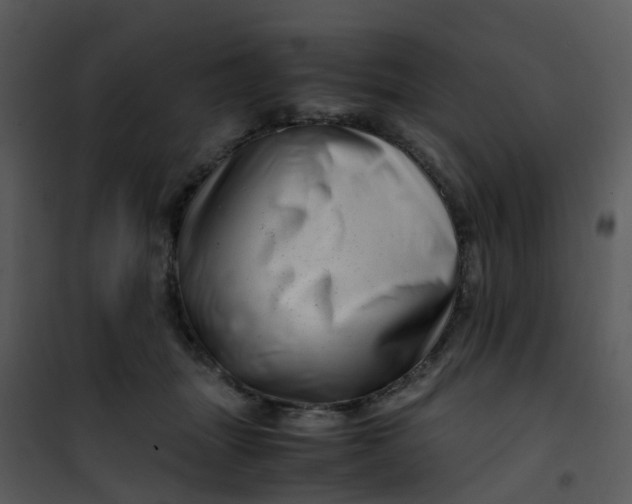 X0000101170463200807181427
