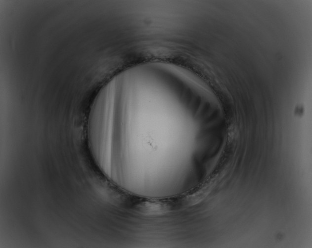 X0000101170464200807181427