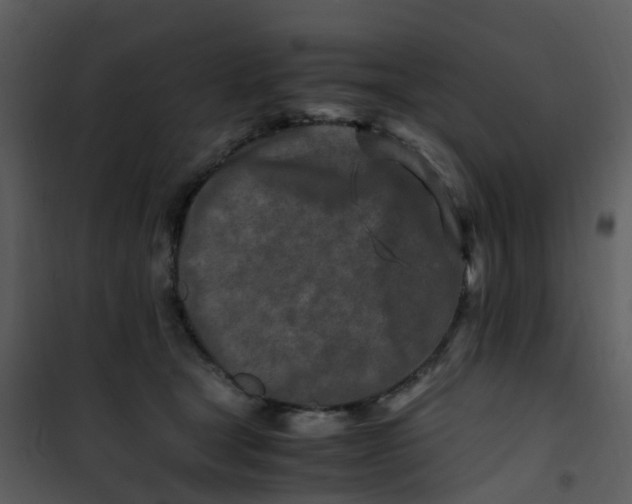 X0000101170465200807181428