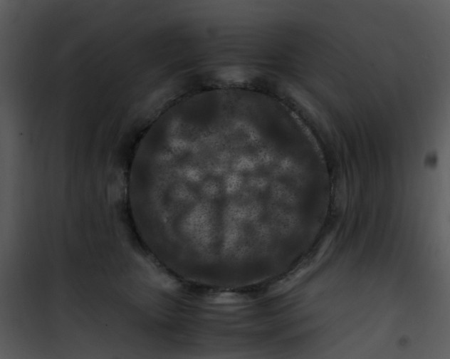 X0000101170467200807181428