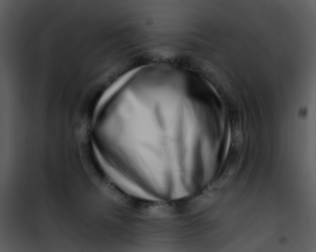 X0000101170468200807181428