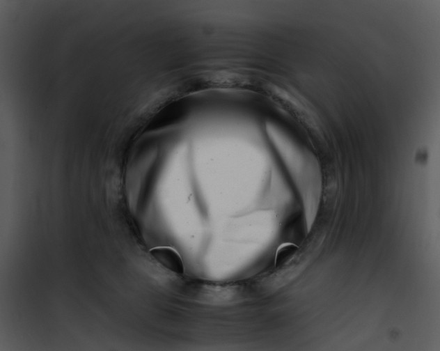X0000101170469200807181428