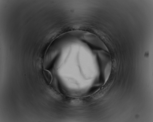 X0000101170470200807181428