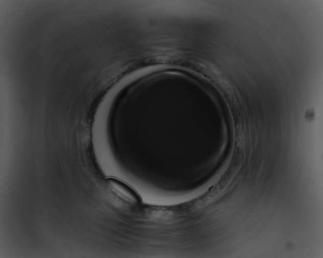 X0000101170471200807181428