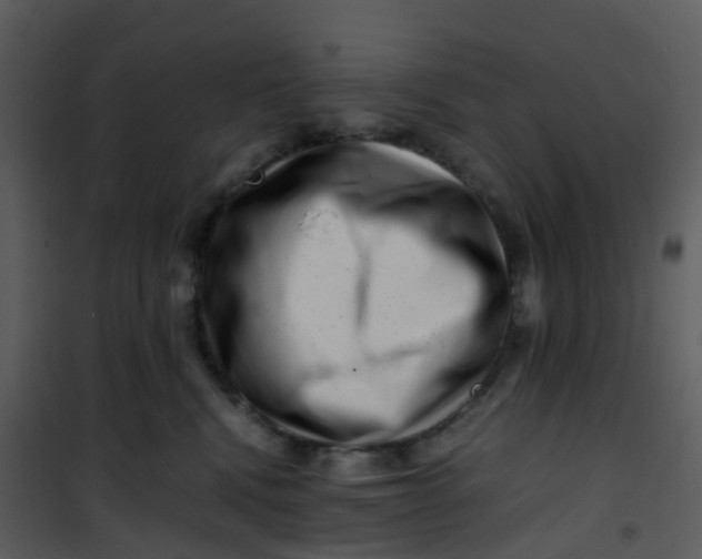 X0000101170472200807181428