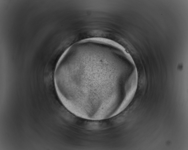 X0000101170473200807181428