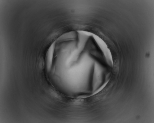 X0000101170474200807181428