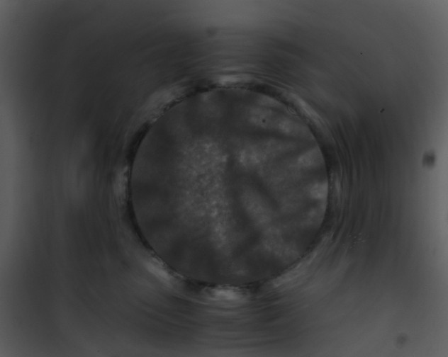 X0000101170475200807181428