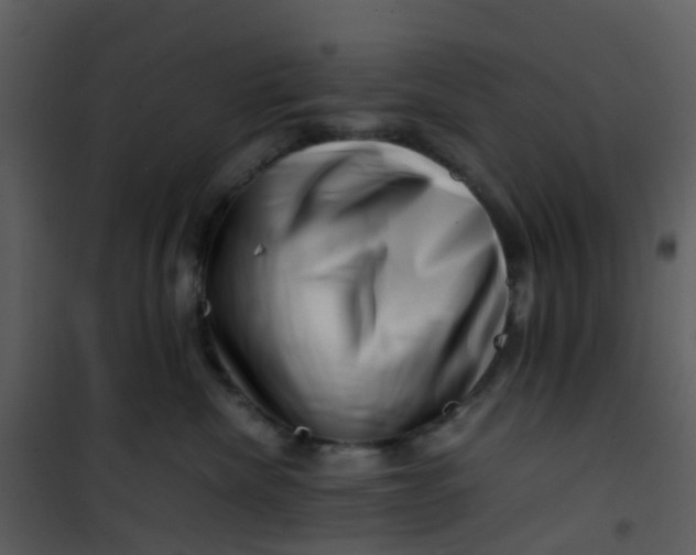 X0000101170476200807181428