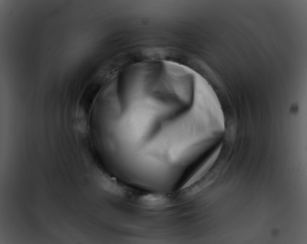 X0000101170477200807181428