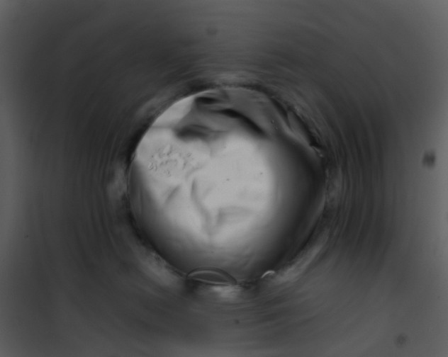 X0000101170478200807181428