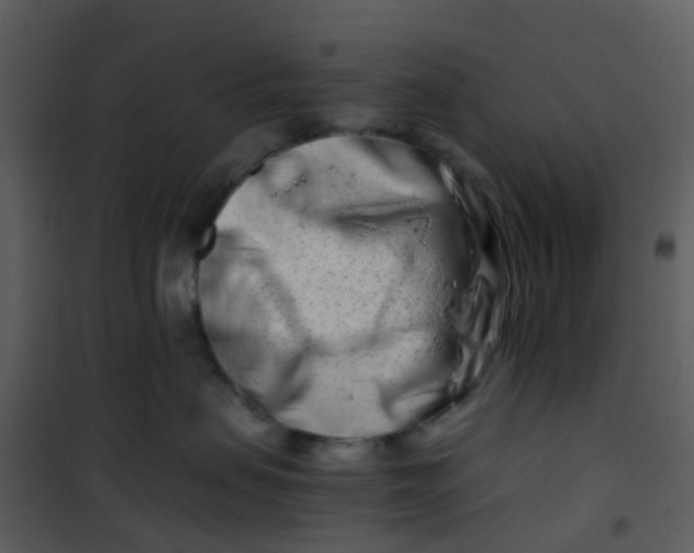 X0000101170479200807181428