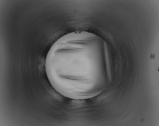 X0000101170480200807181428