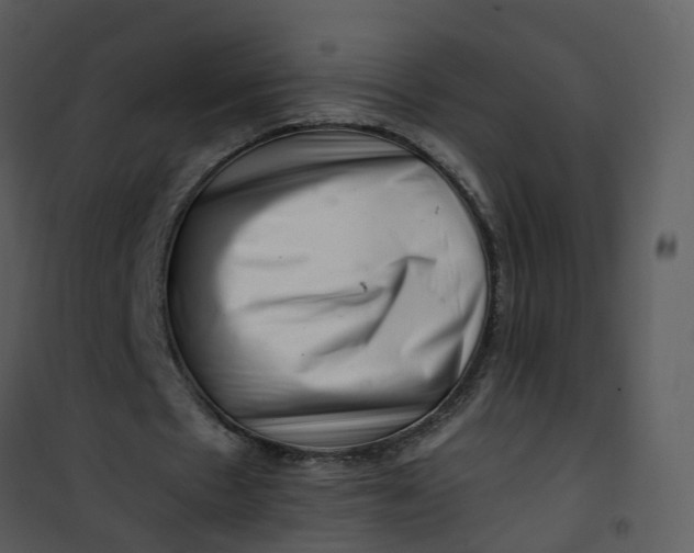 X0000101170481200807181427