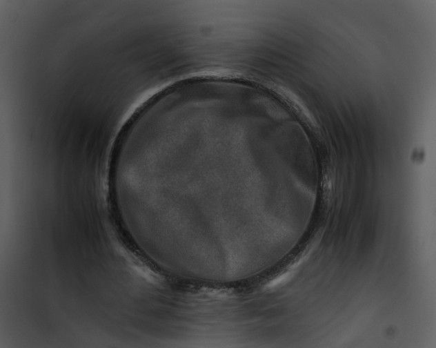 X0000101170484200807181427