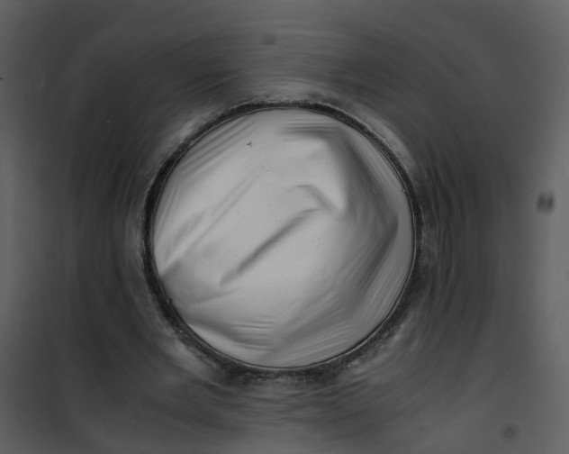 X0000101170485200807181427