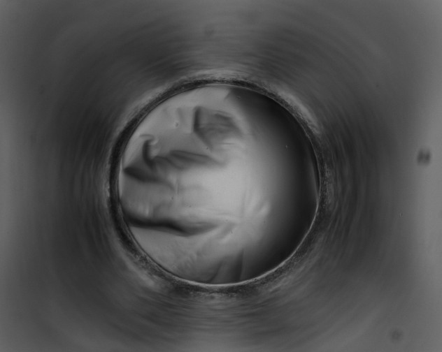 X0000101170486200807181427