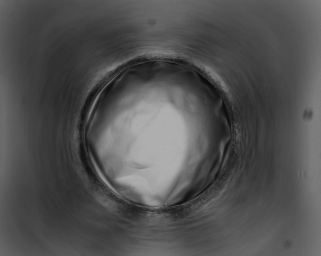 X0000101170487200807181427