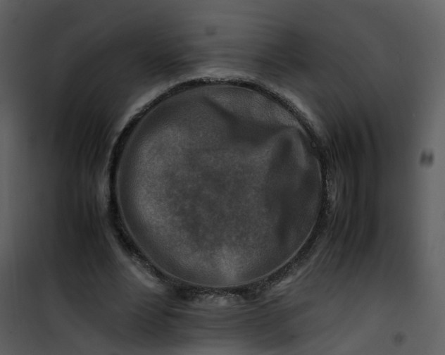 X0000101170488200807181427