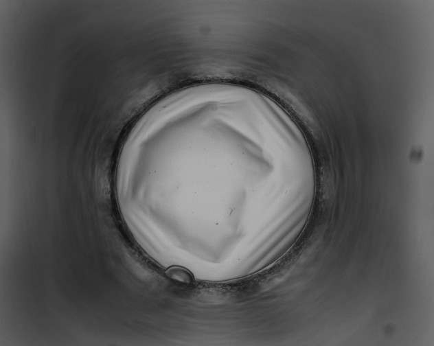 X0000101170489200807181427