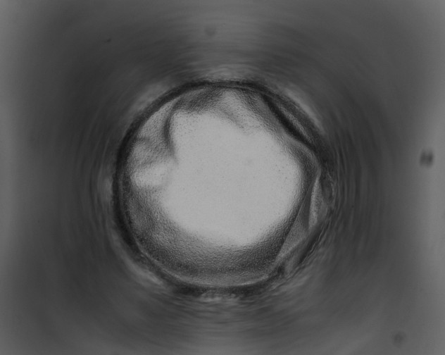 X0000101170491200807181427