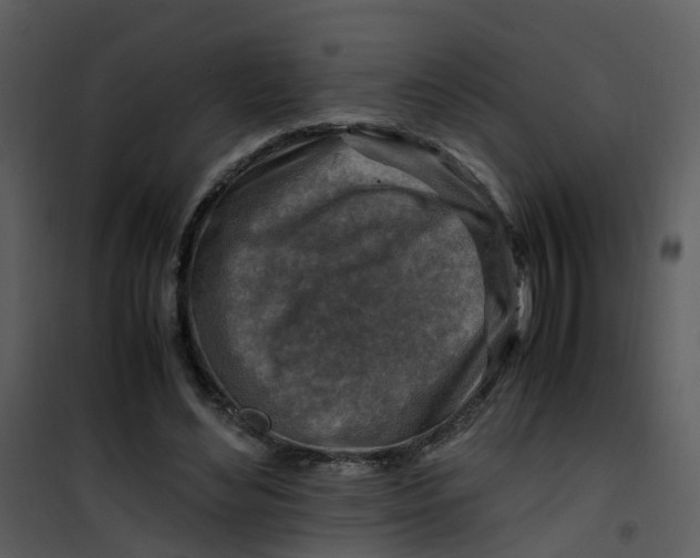 X0000101170492200807181427