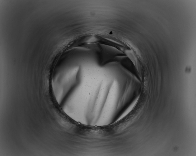 X0000101170493200807181427