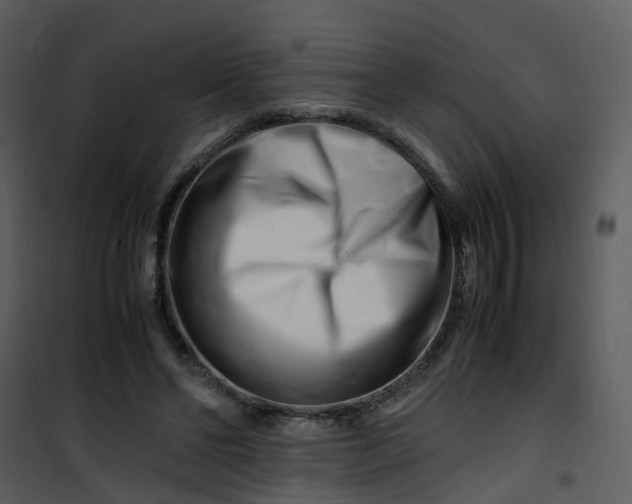 X0000101170494200807181427