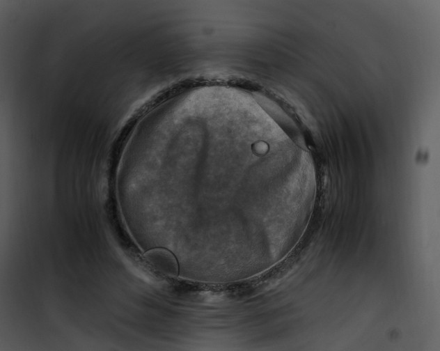 X0000101170496200807181427